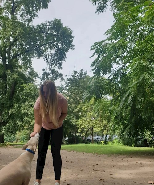 Maár- petsitter Budapest or Pet nanny for dogs