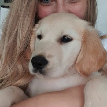 thumbnail petsitter Budapest or pet nanny for dogs