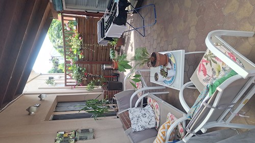 Varga- petsitter Budapest vagy Állat szitter a kutyák