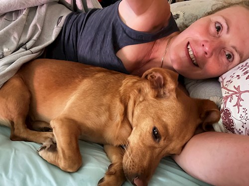 Krisztina- petsitter Budapest vagy Állat szitter a kutyák cicák