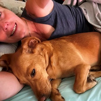 thumbnail petsitter Budapest vagy Állat szitter a kutyák cicák