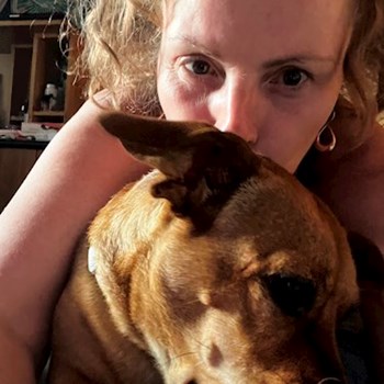 thumbnail petsitter Budapest vagy Állat szitter a kutyák cicák