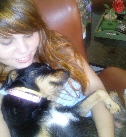 Isadora- petsitter Budapest vagy Állat szitter a kutyák