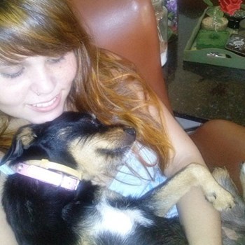 thumbnail petsitter Budapest vagy Állat szitter a kutyák