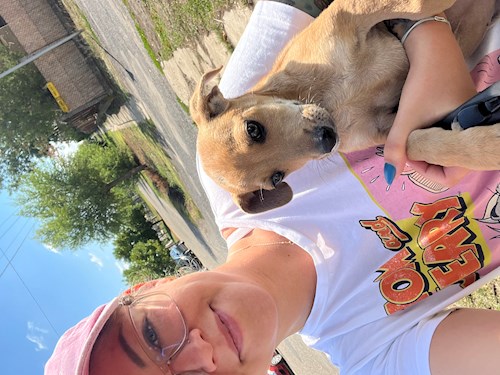 Gulyás- petsitter Budapest or Pet nanny for dogs