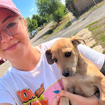 thumbnail petsitter Budapest or pet nanny for dogs