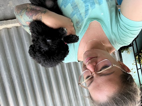 Gulyás- petsitter Budapest or Pet nanny for dogs