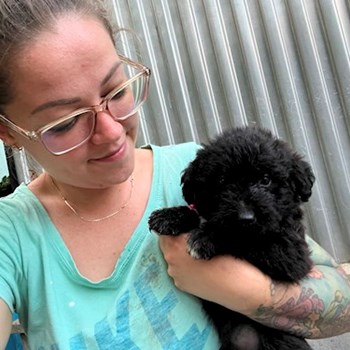 thumbnail petsitter Budapest or pet nanny for dogs