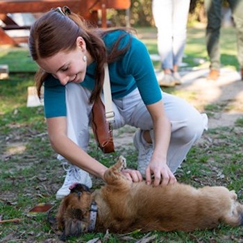 thumbnail petsitter Budapest or pet nanny for dogs