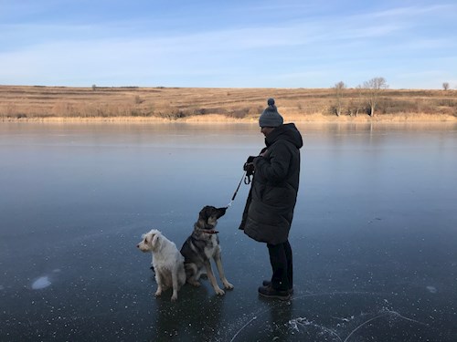 Thuránszky- petsitter Budapest or Pet nanny for dogs cats