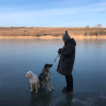 thumbnail petsitter Budapest or pet nanny for dogs cats