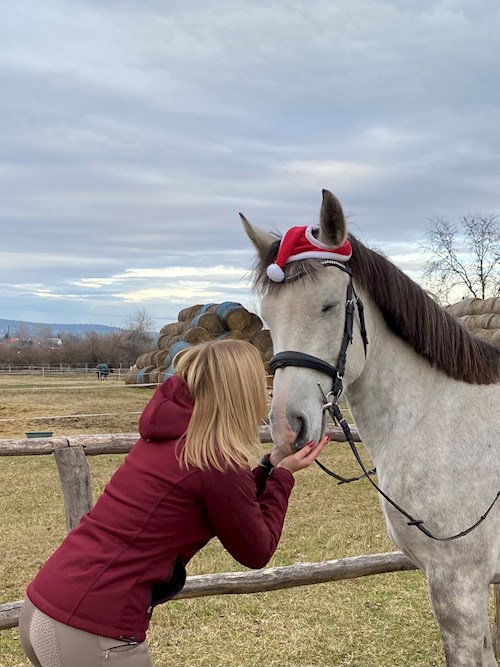 Pádár- petsitter Budapest vagy Állat szitter a kutyák