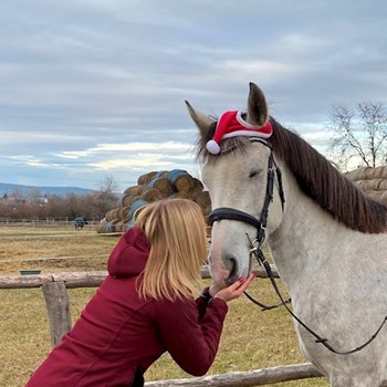 thumbnail petsitter Budapest vagy Állat szitter a kutyák