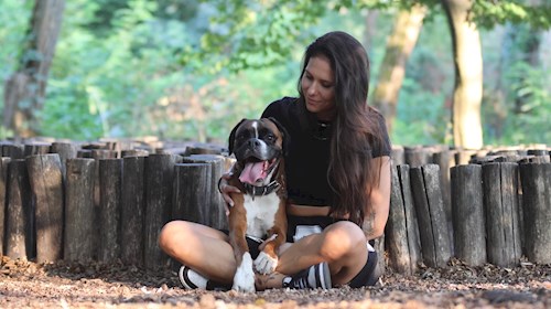 Korcsmáros- petsitter Budakeszi or Pet nanny for dogs