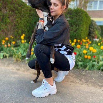 thumbnail petsitter Budakeszi or pet nanny for dogs