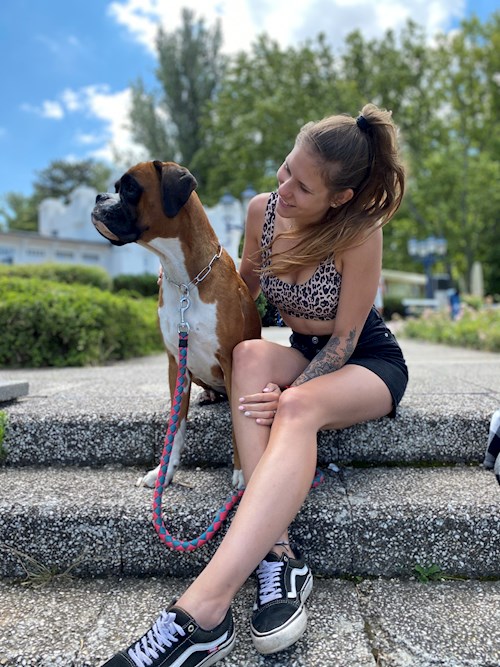 Korcsmáros- petsitter Budakeszi or Pet nanny for dogs