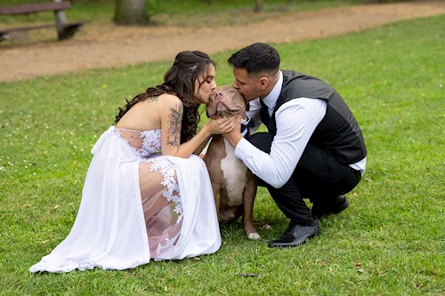 Szilvia- petsitter Debrecen vagy Állat szitter a kutyák cicák