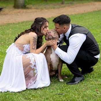 thumbnail petsitter Debrecen vagy Állat szitter a kutyák cicák