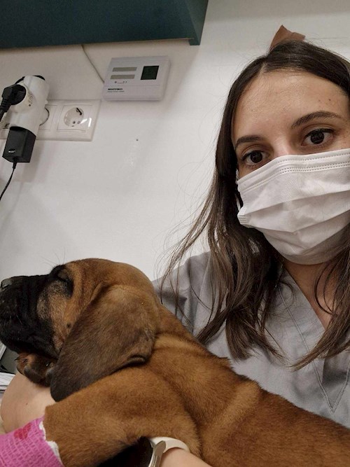 Szilvia- petsitter Debrecen vagy Állat szitter a kutyák cicák