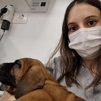 thumbnail petsitter Debrecen vagy Állat szitter a kutyák cicák