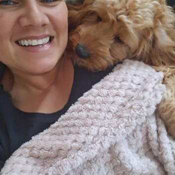 thumbnail petsitter Budapest vagy Állat szitter a kutyák