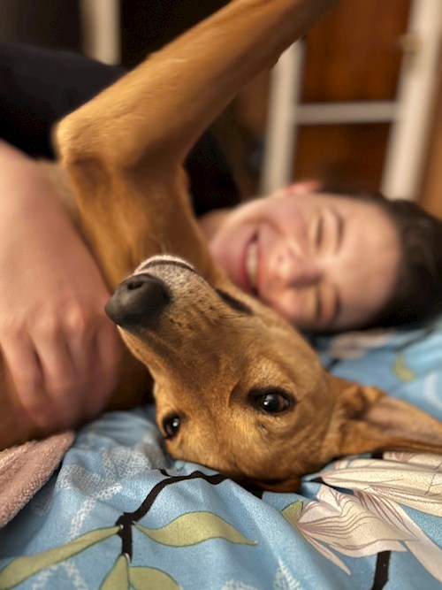 Krisztina- petsitter Budapest vagy Állat szitter a kutyák cicák