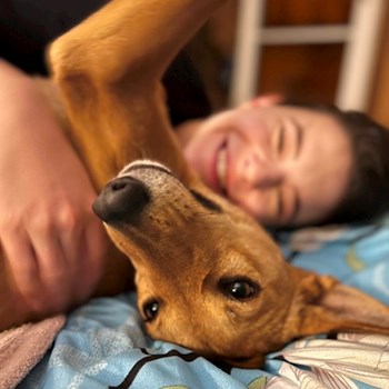 thumbnail petsitter Budapest vagy Állat szitter a kutyák cicák