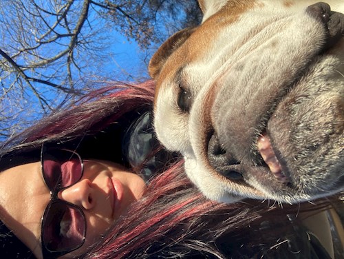 Mihályka- petsitter Budapest vagy Állat szitter a kutyák