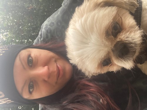 Mihályka- petsitter Budapest vagy Állat szitter a kutyák