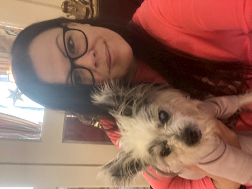 Mihályka- petsitter Budapest vagy Állat szitter a kutyák