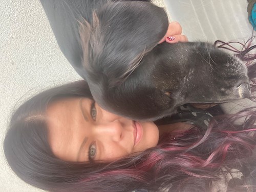 Mihályka- petsitter Budapest vagy Állat szitter a kutyák