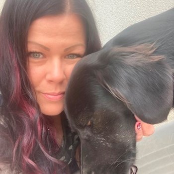 thumbnail petsitter Budapest vagy Állat szitter a kutyák