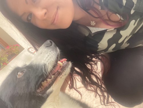 Mihályka- petsitter Budapest vagy Állat szitter a kutyák