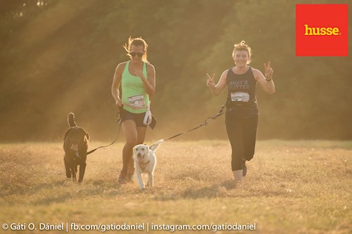 Németh- petsitter Érd vagy Állat szitter a kutyák cicák