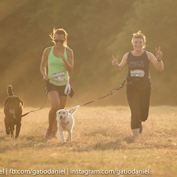 thumbnail petsitter Érd vagy Állat szitter a kutyák cicák