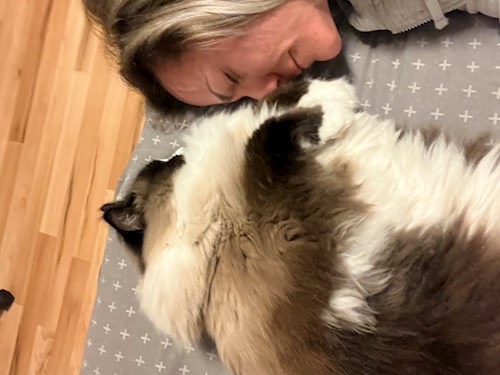 Németh- petsitter Érd vagy Állat szitter a kutyák cicák