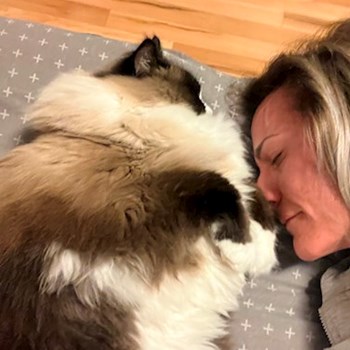 thumbnail petsitter Érd vagy Állat szitter a kutyák cicák