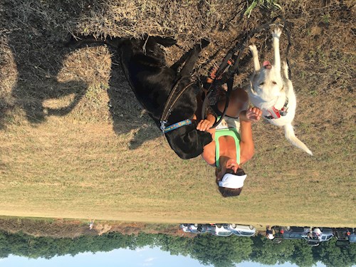 Németh- petsitter Érd vagy Állat szitter a kutyák cicák