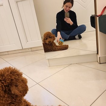 thumbnail petsitter Budapest vagy Állat szitter a kutyák cicák