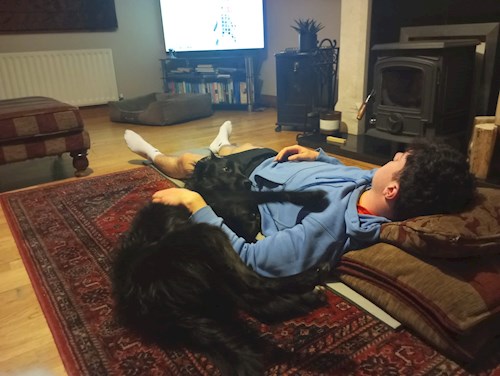 Michael- petsitter Budapest vagy Állat szitter a kutyák