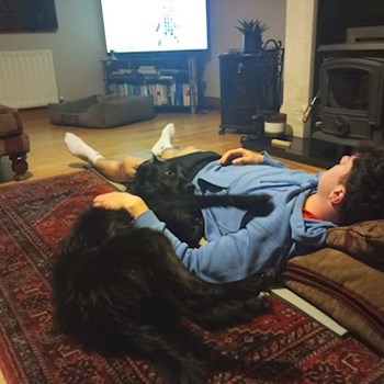 thumbnail petsitter Budapest vagy Állat szitter a kutyák