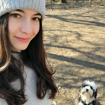 thumbnail petsitter Budapest vagy Állat szitter a kutyák cicák