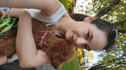 Kata- petsitter Budapest vagy Állat szitter a kutyák cicák