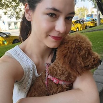 thumbnail petsitter Budapest vagy Állat szitter a kutyák cicák