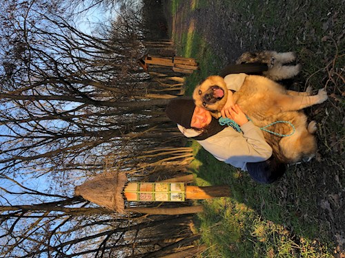 Fodor- petsitter Budapest vagy Állat szitter a kutyák cicák