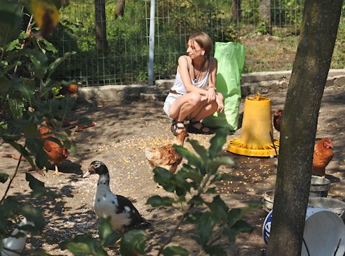 Gyopár- petsitter Budapest or Pet nanny for dogs cats