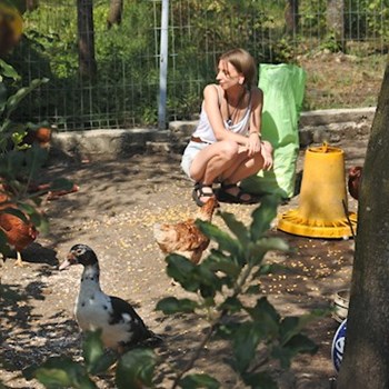 thumbnail petsitter Budapest or pet nanny for dogs cats