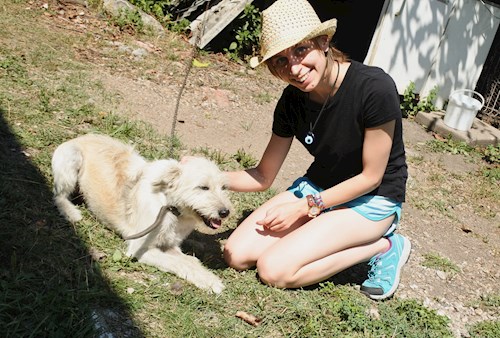 Gyopár- petsitter Budapest or Pet nanny for dogs cats