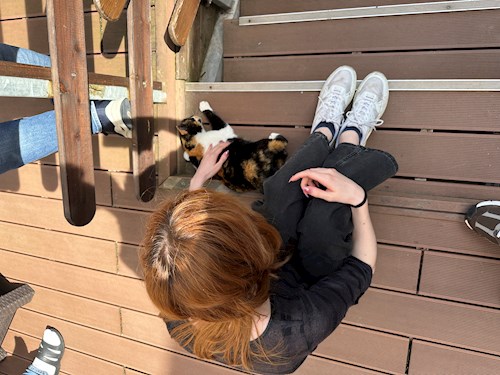 Eszter- petsitter Budapest or Pet nanny for dogs cats