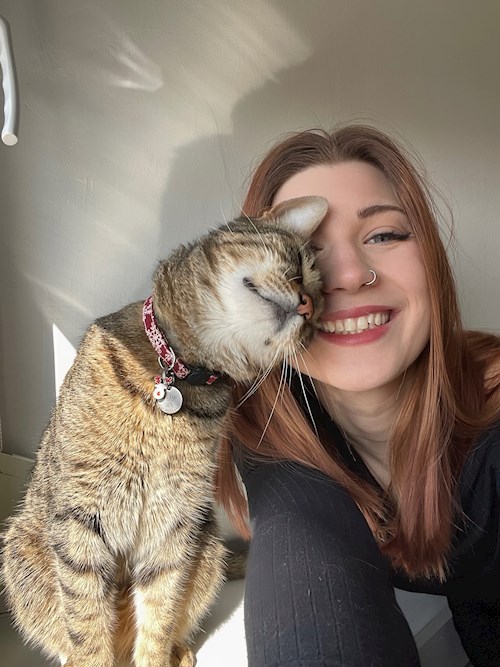 Niklai- petsitter Pécs vagy Állat szitter a kutyák cicák